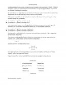 DESIGUALDADES Las desigualdades o inecuaciones se originaron poco después de las ecuaciones