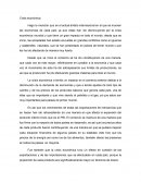 Ensayo Crisis económica