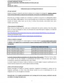 Indicaciones para la entrega del Avance 2