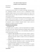 Prestadores de servicios turísticos