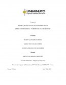 FORMULACIÓN Y EVALUACION DE PROYECTOS