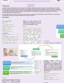 HEMORRAGIA OBSTETRICA CASO CLINICO