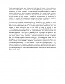 PROPIEDADES TECNICO-FUNCIONALES DEL ALMIDO