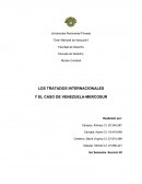 LOS TRATADOS INTERNACIONALES Y EL CASO DE VENEZUELA-MERCOSUR