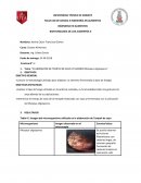 ELABORACIÓN DE TEMPEH DE SOJA UTILIZANDO