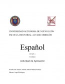 Español ETAPA 1 Evidencia