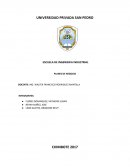 PLANES DE NEGOCIO la creación de una PeluSpa movilpe
