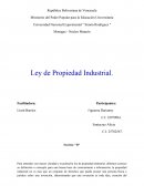 Ley de Propiedad Industrial. El derecho invencional