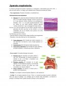 APARATO RESPIRATORIO Y SISTEMA SANGUÍNEO