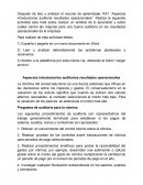 Cuales son los Aspectos introductorios auditorios resultados operacionales