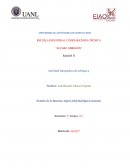 Álvaro Obregón. Español II Actividad Integradora de la Etapa 3