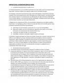 IMPACTO DE LA RENOVACIÓN DE PARIS