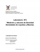 Laboratorio Nº3 Medición y cálculos de Densidad Densidades de Líquidos y Mezclas