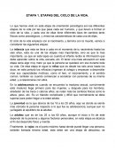 ETAPA 1. ETAPAS DEL CICLO DE LA VIDA