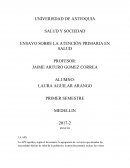 ENSAYO APS DESARROLLO