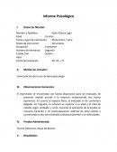 Como práctica del curso de Neuropsicología