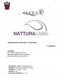 Auditoria empresa Nattura Labs SA. de CV