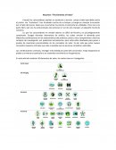 Resumen: “The Elements of Value”