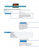 RESUMEN EJECUTIVO DEL PLAN ESTRATÉGICO
