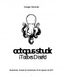 Proyecto Octopus Studio