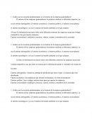 Tarea 1 plantación estrategica Cuáles son las escuelas predominantes en el entorno de la empresa guatemalteca?