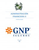 Administracion financiera - Ejercicio de riesgo financiero. Planteamiento
