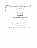 Integradora etapa 3 segundo semestre