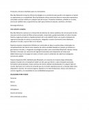 Productos y Servicios diseñados para tus necesidades.