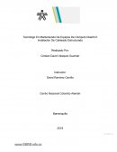 Tecnólogo En Manteniendo De Equipos De Cómputo Diseño E Instalación De Cableado Estructurado
