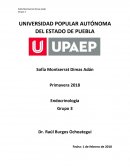 Infecto Aspectos más recientes en relación con la diabetes mellitus tipo MODY