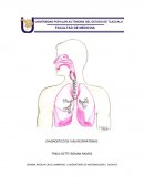 Practica de vías respiratorias