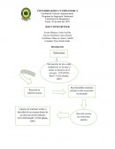 Soluciones buffer. Objetivos General: Manejo de soluciones tampón