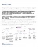 Reporte de quimica Ensayo