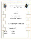 Reporte implementar la apertura de una mega planta de cría y engorda