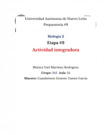 Integradora etapa 3 segundo semestre. Página 1