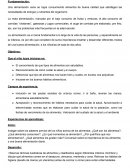 Una alimentación sana