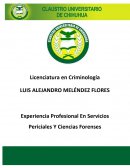 Experiencia Profesional En Servicios Periciales Y Ciencias Forenses