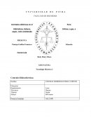 Centrales eléctricas en el Perú Hidráulicas, Solares, Eólicas, a gas, a vapor, ciclo combinado