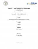 Tratamiento para las Enfermedades de Trasmisión sexual