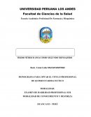 ÓXIDO NÍTRICO (NO) COMO SEGUNDO MENSAJERO