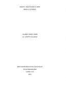 ENSAYO RESCATANDO A SARA