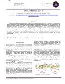 INFORME OXIDACIONES BIOLOGICAS