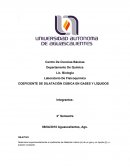 COEFICIENTE DE DILATACIÓN CÚBICA EN GASES Y LÍQUIDOS