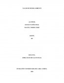 TALLER DE MEDIO AMBIENTE