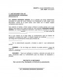 Ejemplo de la PRUEBA PERICIAL