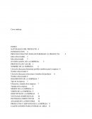 Creación de empresa Cover makeup