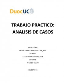 TRABAJO PRACTICO: ANALISIS DE CASOS EMPRESAS. Página 1