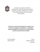 ESTUDIO DE LAS ÁREAS DE PROGRAMACIÓN Y DESARROLLO DE SOFTWARE DE INGENIERÍA DE SISTEMAS