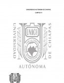 LA IMPORTANCIA DE LA RELIGIÓN