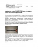 POST-PRÁCTICA No. 9 DEMOSTRACION DE MODELOS MOLECULARES SEGÚN SU FORMACION LIPIDICA Y SU PATOLOGIA POR ESTUDIANTES